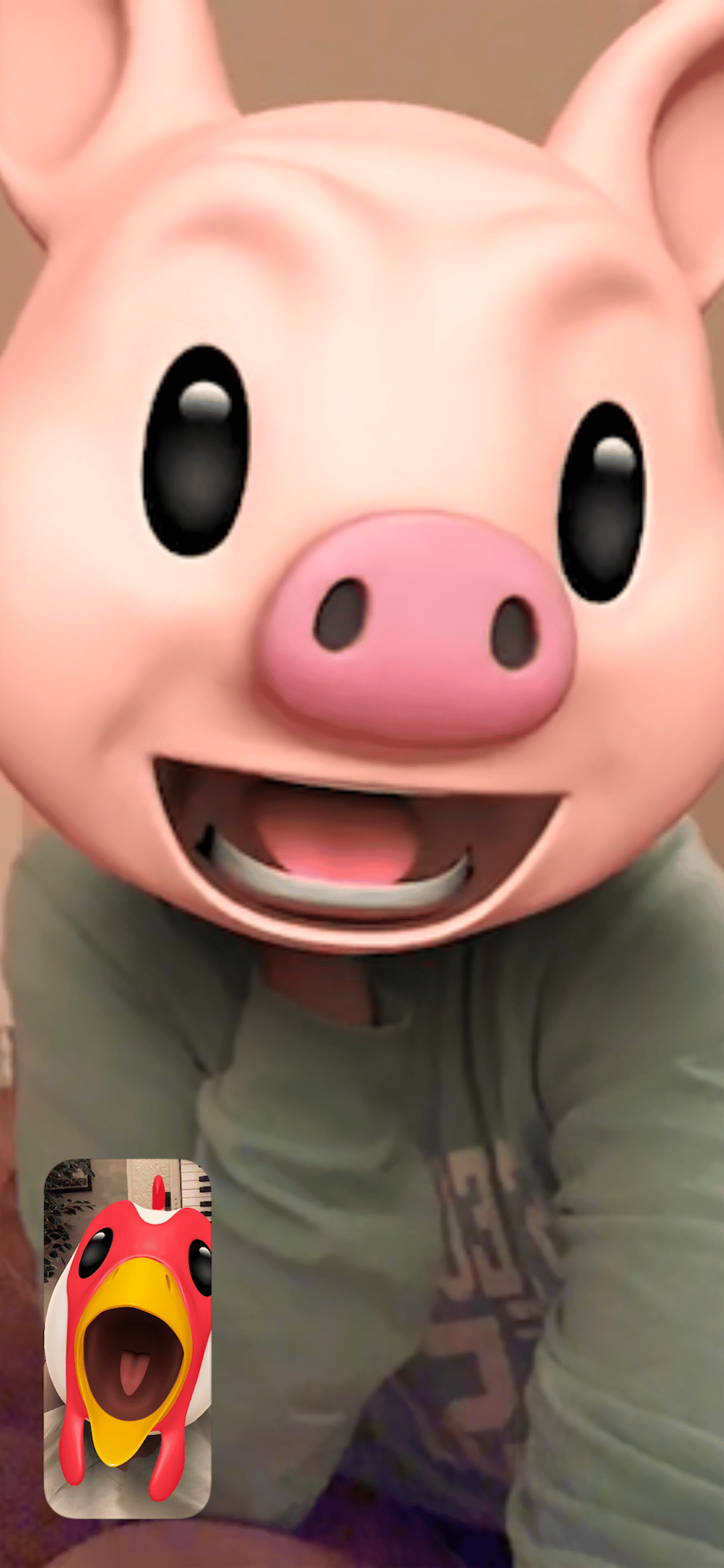 Playful pig filter photo